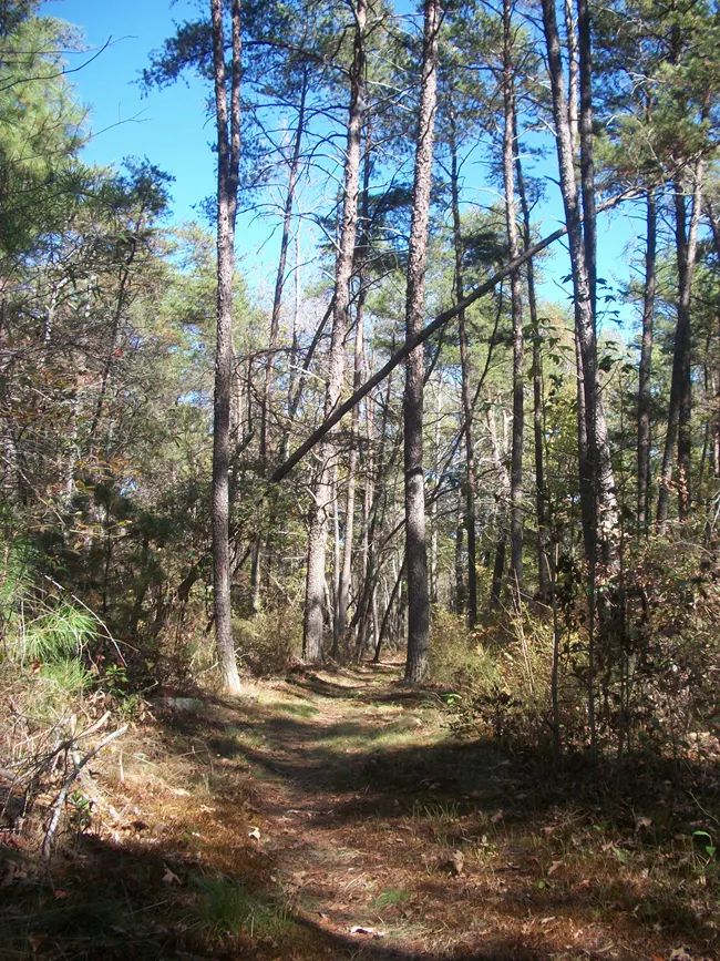 Beaver-Pond-Trail-at-Little-River-Canyon