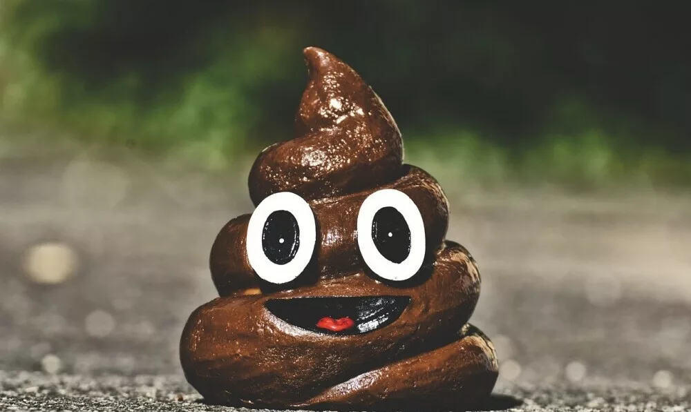 What Do You Do with Poo When You’re Backpacking